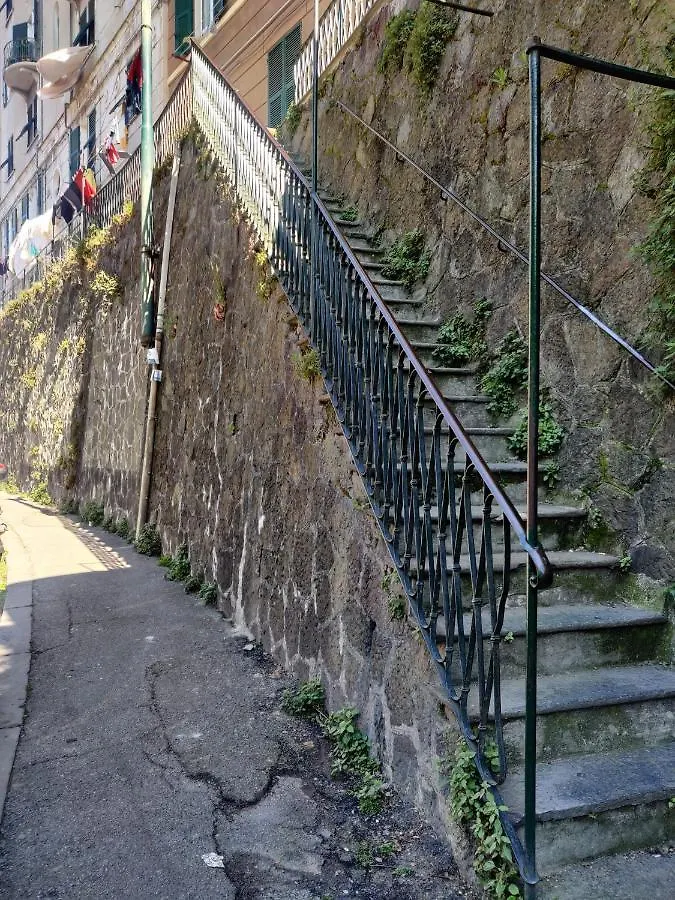 The Cat'S Rooms Genua